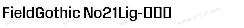 FieldGothic No21Lig字体转换